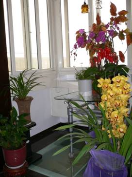 20110602093420136.jpg